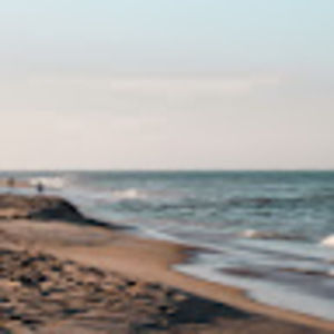 Meet your Posher, Evie